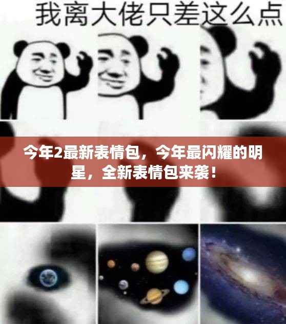 今年最闪耀明星,全新表情包火热来袭!