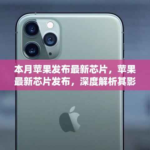 联系我们 第261页