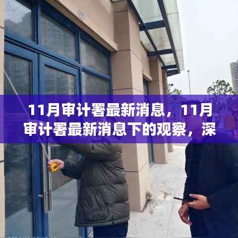 11月审计署最新消息深度解析与观点阐述