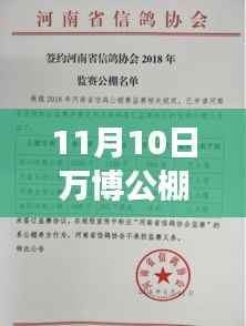 11月10日万博公棚最新公告详解与任务完成指南