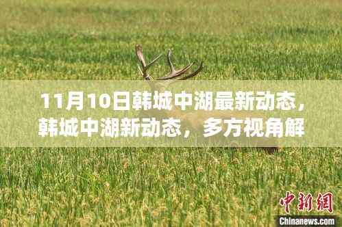 韩城中湖最新动态揭秘,多方视角解读其影响与价值