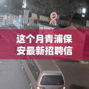 青浦保安最新招聘信息本月概览,全面解析招聘动态与要求