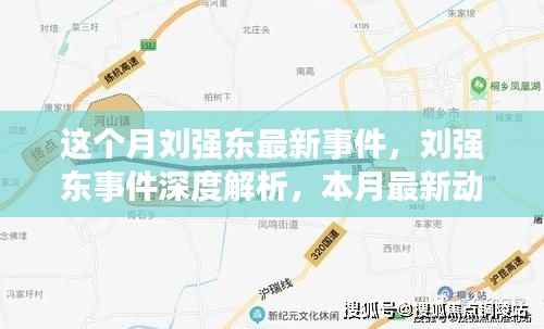 刘强东本月事件深度解析与动态步骤指南