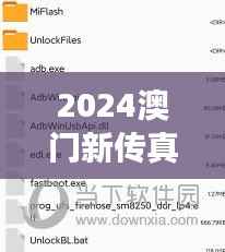 2024澳门新传真资料大全免费获取,精准解读挑战版WND404.05