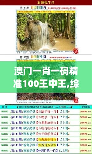 澳门一肖一码精准100王中王,综合计划赏析_幻想版MTC68.31
