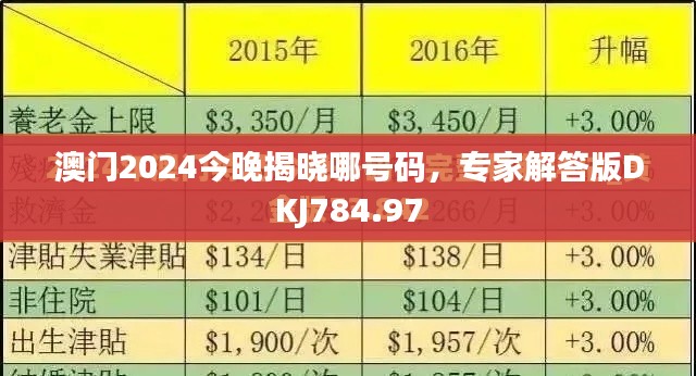 澳门2024今晚揭晓哪号码,专家解答版DKJ784.97