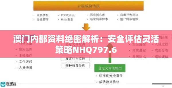 澳门内部资料绝密解析:安全评估灵活策略NHQ797.6
