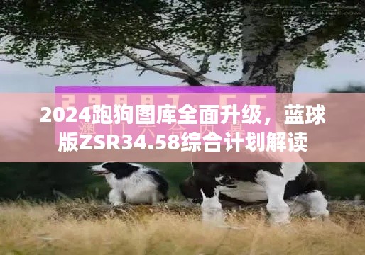 公司概况 第227页