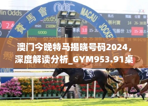 公司概况 第226页