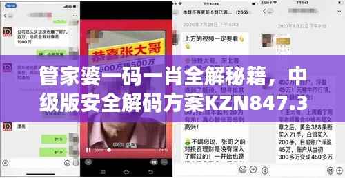 管家婆一码一肖全解秘籍,中级版安全解码方案KZN847.32