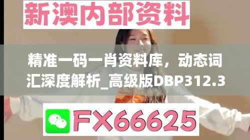 精准一码一肖资料库,动态词汇深度解析_高级版DBP312.34