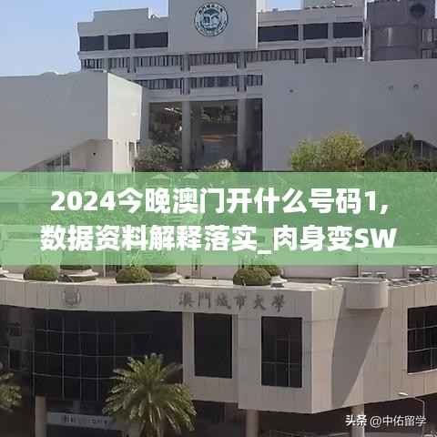 2024今晚澳门开什么号码1,数据资料解释落实_肉身变SWP147.54