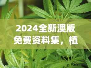2024全新澳版免费资料集,植物防护秘籍——九天太仙FLQ414.11