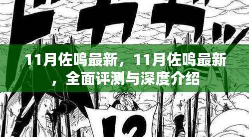 11月佐鸣最新,全面评测与深度介绍