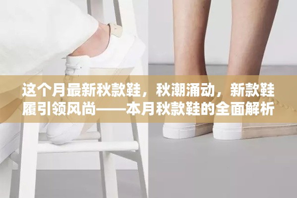 本月秋潮时尚引领者,新款鞋履引领风尚的全面解析