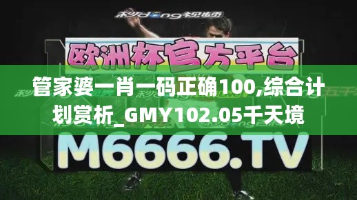管家婆一肖一码正确100,综合计划赏析_GMY102.05千天境