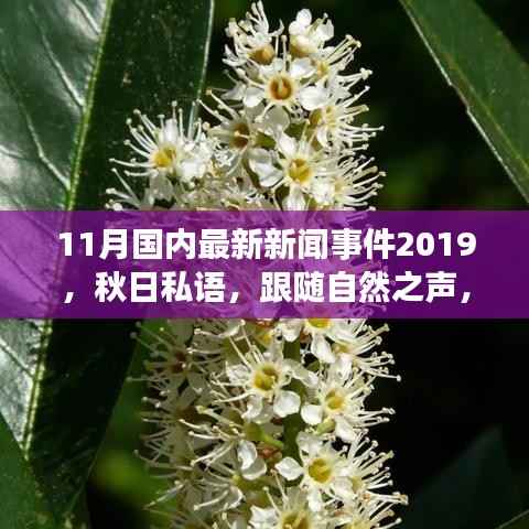 秋日私语,跟随自然之声,踏上宁静的十一月中国旅行之旅(最新新闻事件回顾)