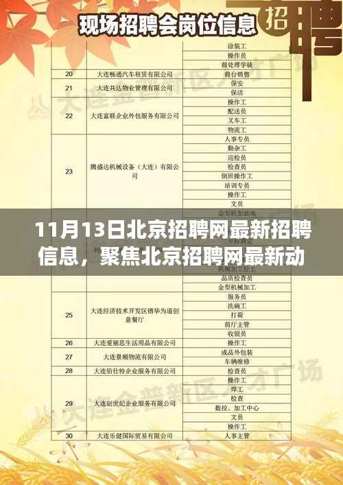 北京招聘网最新动态,聚焦招聘信息下的职场洞察与观点碰撞(11月13日)