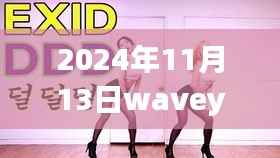 2024年11月13日Waveya最新视频观察,独特视角下的思考