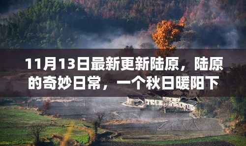 政策法规 第213页