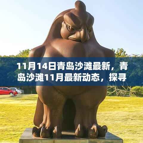 探寻秋日青岛沙滩别样风情,最新动态与沙滩风情体验(11月篇)