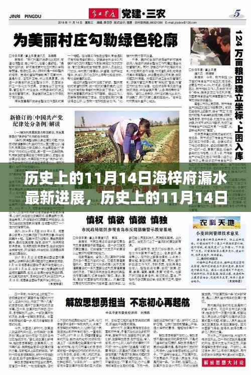 历史上的11月14日海梓府漏水事件最新进展揭秘