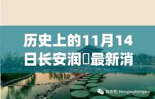 长安润璟秘境探索,历史与美食的碰撞时刻,最新消息揭秘秘密小店