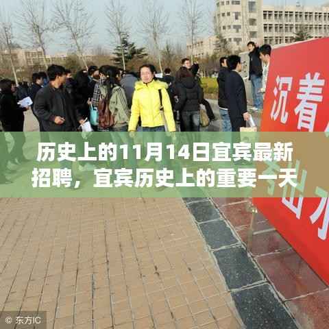 宜宾历史上的重要一天,揭秘十一月十四日最新招聘及其深远影响