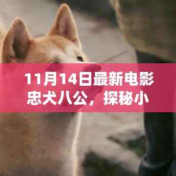 探秘电影天堂,忠犬八公特色小店的魅力之旅