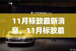 11月标致最新消息揭秘,重磅更新与未来展望