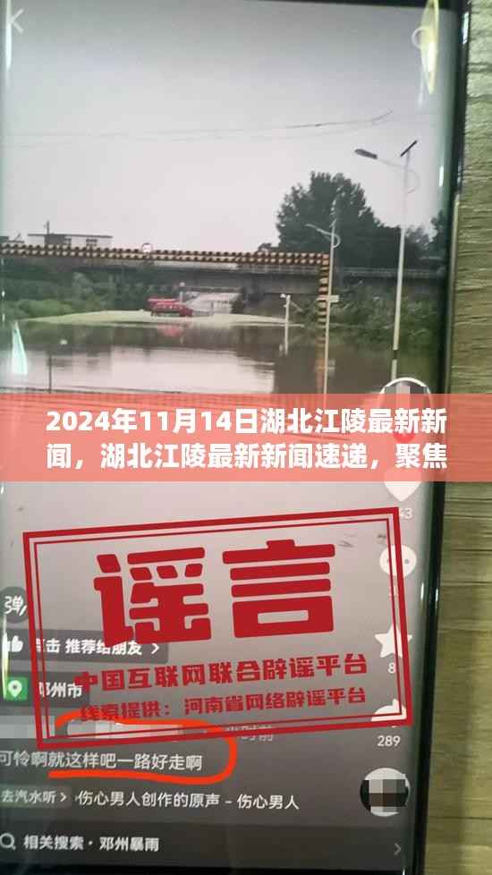 湖北江陵最新新闻速递,聚焦三大要点(2024年11月14日)