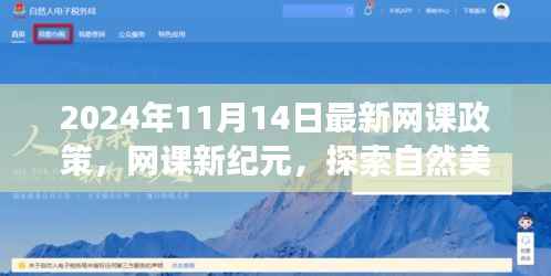2024网课新纪元,探索自然美景与心灵之旅的新课标