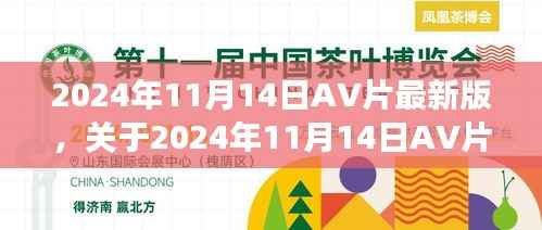 关于涉黄问题,理性看待与正确引导探讨的探讨