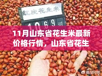 11月山东省花生米最新价格行情,山东省花生米市场深度观察,最新行情解析与竞品对比