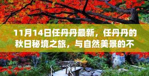 公司概况 第194页