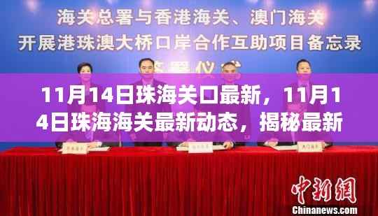 揭秘，珠海海关最新动态与政策进出口物流新变化（11月14日更新）