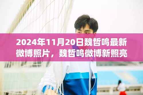 魏哲鸣最新微博动态,揭秘新照亮相背后的故事与用户体验分析