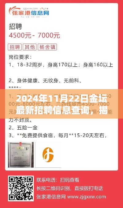揭秘金坛隐藏特色小店与最新招聘信息奇遇记,2024年11月22日金坛招聘信息深度查询