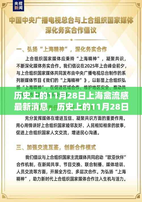 历史上的11月28日上海禽流感及其平息后的自然探索之旅寻找内心宁静