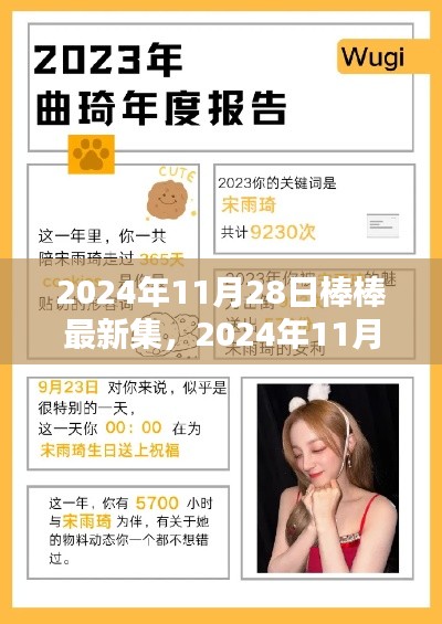 2024年11月28日棒棒最新集制作指南,从入门到精通