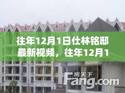 往年12月1日仕林铭邸最新视频及其深度解析概述
