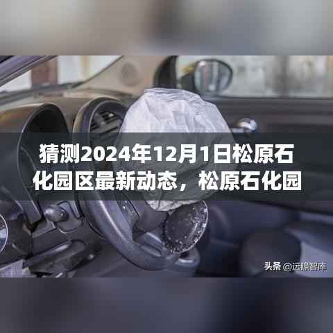 松原石化园区未来展望,解析松原石化园区最新动态与未来发展趋势(预测至2024年12月)