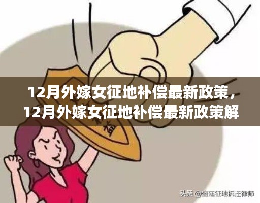 最新解读,12月外嫁女征地补偿政策详解