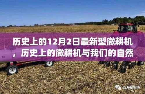 走马观花 第10页