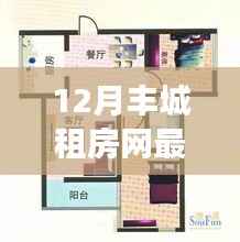 丰城租房市场十二月最新动态解析,深度聚焦观点与洞察