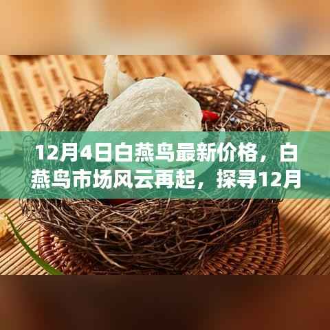 探寻白燕鸟市场风云,最新价格揭秘与背后的故事