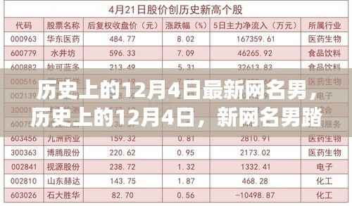 历史上的12月4日，新网名男的自然之旅与内心平静的奇妙冒险探索之路