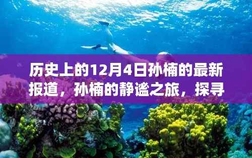 孙楠的静谧之旅,探寻自然美景与内心力量的历史报道(12月4日最新)