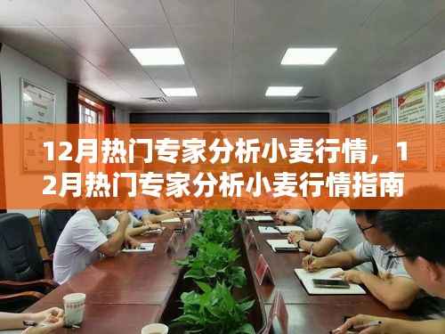 12月热门专家小麦行情解析，从入门到进阶的全方位指南