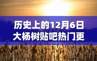 历史上的12月6日大杨树贴吧热门更新,深度分析与观点阐述